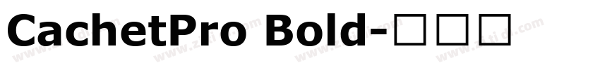 CachetPro Bold字体转换